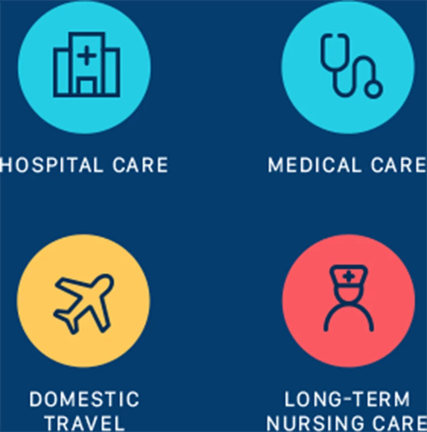 Hospital Care, Medical Care, Domestic Travel, Long-Term Nursing Care Mobile