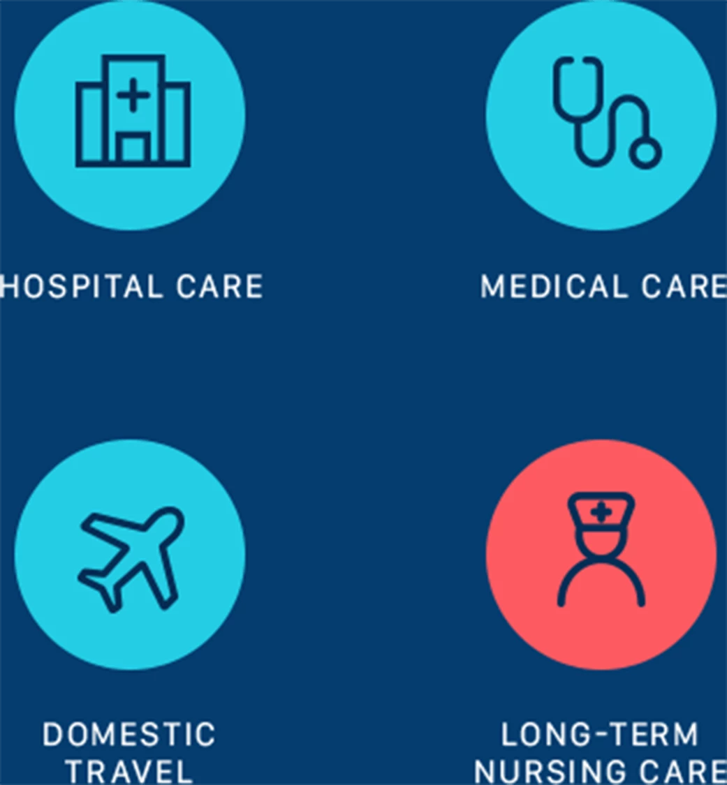 Hospital Care, Medical Care, Domestic Travel, Long-Term Nursing Care Desktop